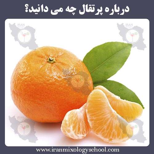 درباره پرتقال چه می دانید؟